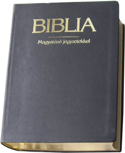 Magyarázatos aranymetszésű bőr Biblia